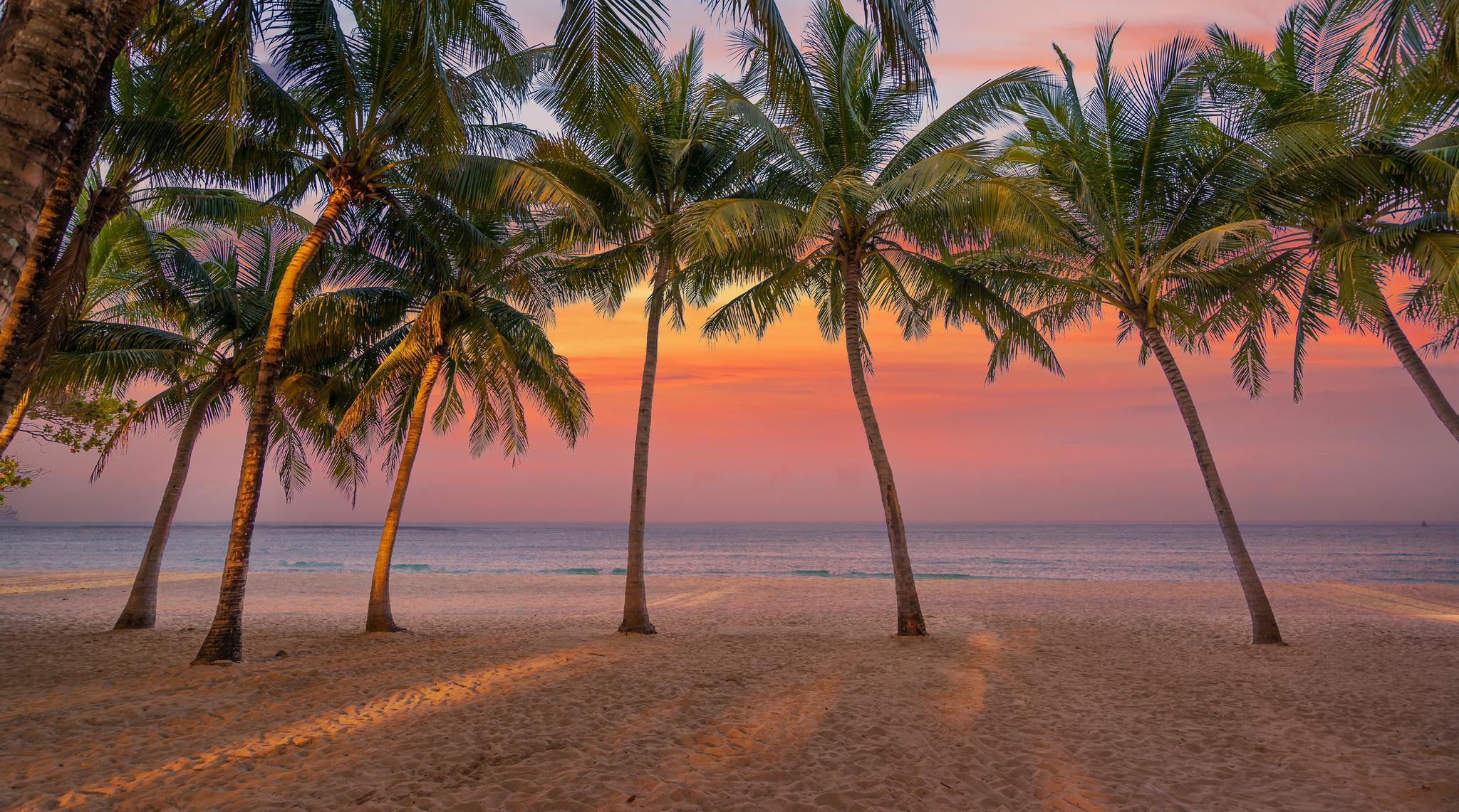 Job Intérim Guadeloupe Offres d'Emploi & Recrutement à BasseTerre