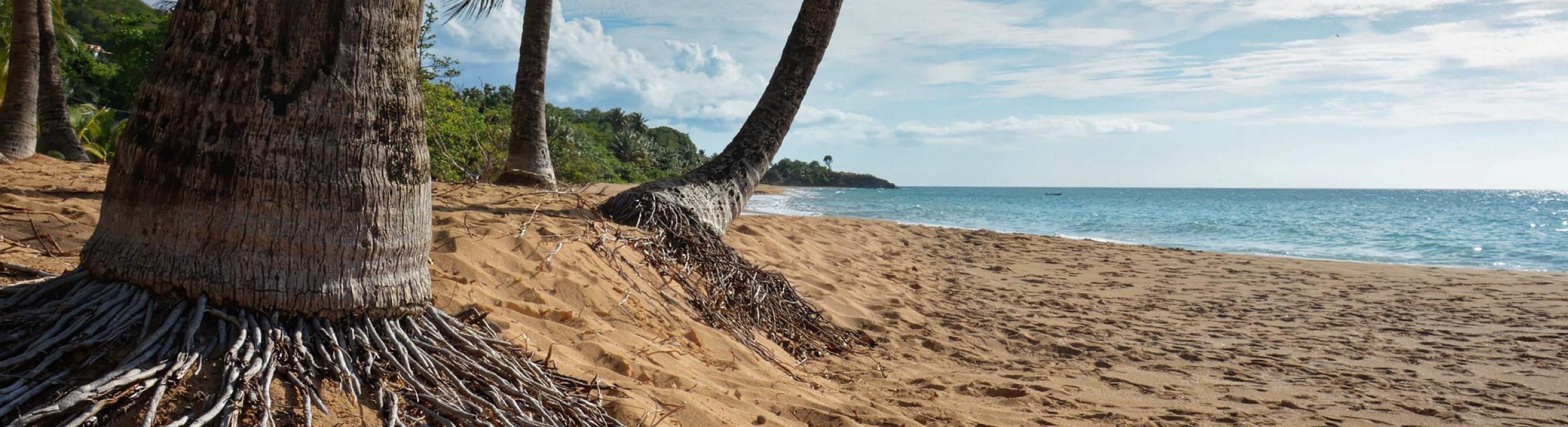 Paysage Basse-Terre en Guadeloupe où se situe l'agence Job Intérim